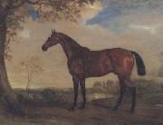 John Ferneley Portrait of a Hunter Mare,The Property of Robert shafto of whitworth park,durham France oil painting artist